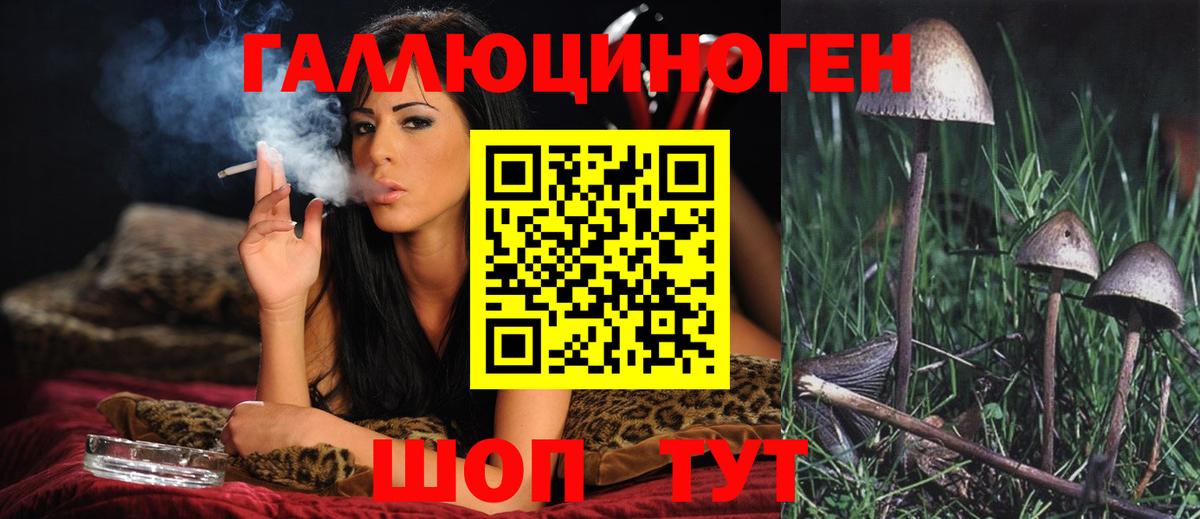 Псилоцибиновые грибы Cubensis Ачхой-Мартан